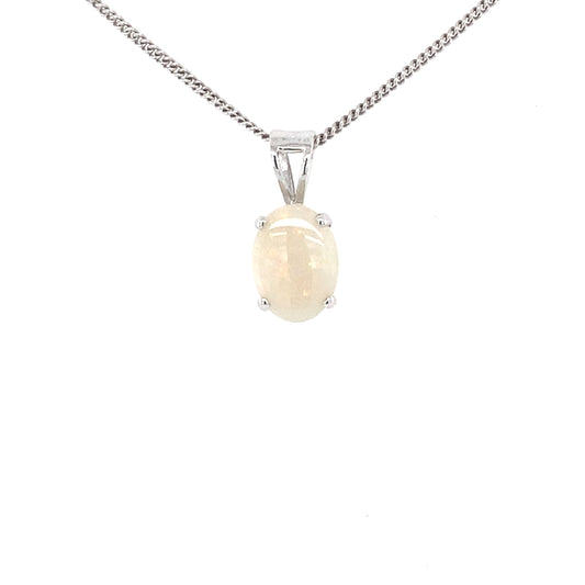 White Gold Opal Solitaire Pendant  Gardiner Brothers