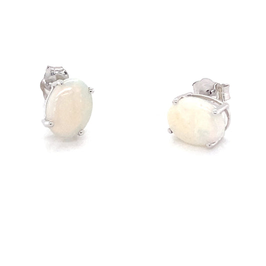 White Gold Opal Solitaire Earrings  Gardiner Brothers
