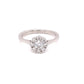 Platinum Round Brilliant Cut Diamond 9 Stone Cluster Ring - 0.60cts Gardiner Brothers
