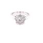 Platinum Round Brilliant Cut Diamond 9 Stone Cluster Ring - 1.00cts Gardiner Brothers