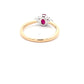 Ruby and Round brilliant Cut Diamond Cluster Ring Gardiner Brothers