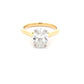 Lab Grown Oval Shaped Diamond Solitaire Ring - 2.00cts Gardiner Brothers