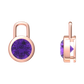 Nova earring attachments in a plain bezel setting with round Amethyst Gardiner Brothers