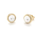 Yellow Gold Pearl Stud Earrings  Gardiner Brothers   