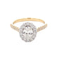 Yellow Gold Oval shaped diamond halo cluster style ring - 1.10cts Gardiner Brothers