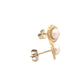 Yellow Gold Fresh Water Pearl Stud Earrings