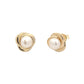 Yellow Gold Fresh Water Pearl Stud Earrings