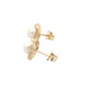 Yellow Gold Fresh Water Pearl Stud Earrings