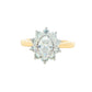 Yellow Gold Oval shaped diamond and 10 round brilliant cut diamond cluster style ring - 1.40ct Gardiner Brothers