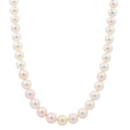 White Gold Akoya String of Pearls : 8-8.5mm Gardiner Brothers