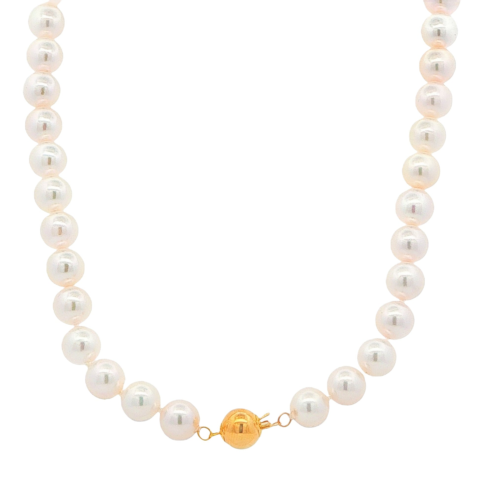 Yellow Gold Akoya String of Pearls : 8-8.5mm Gardiner Brothers