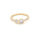 Round Brilliant Cut Diamond 2 Stone Ring with Diamond Set Shoulders  Gardiner Brothers   