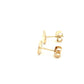Yellow Gold Screw Design Earring  Gardiner Brothers