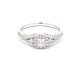 Round Brilliant Cut Diamond Halo Cluster Style Ring  Gardiner Brothers