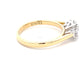 Aurora cut Oval and round Diamond 3 Stone Ring - 0.85cts  Gardiner Brothers   