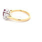 Ruby and Round Brilliant Cut Diamond 3 Stone Ring