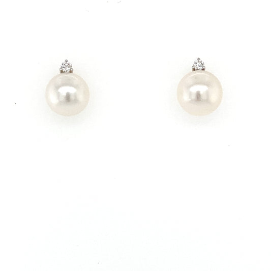 Akoya Pearl and Round Brilliant Cut Diamond Earrings  Gardiner Brothers   