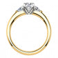Aurora Diamond Ring  Gardiner Brothers