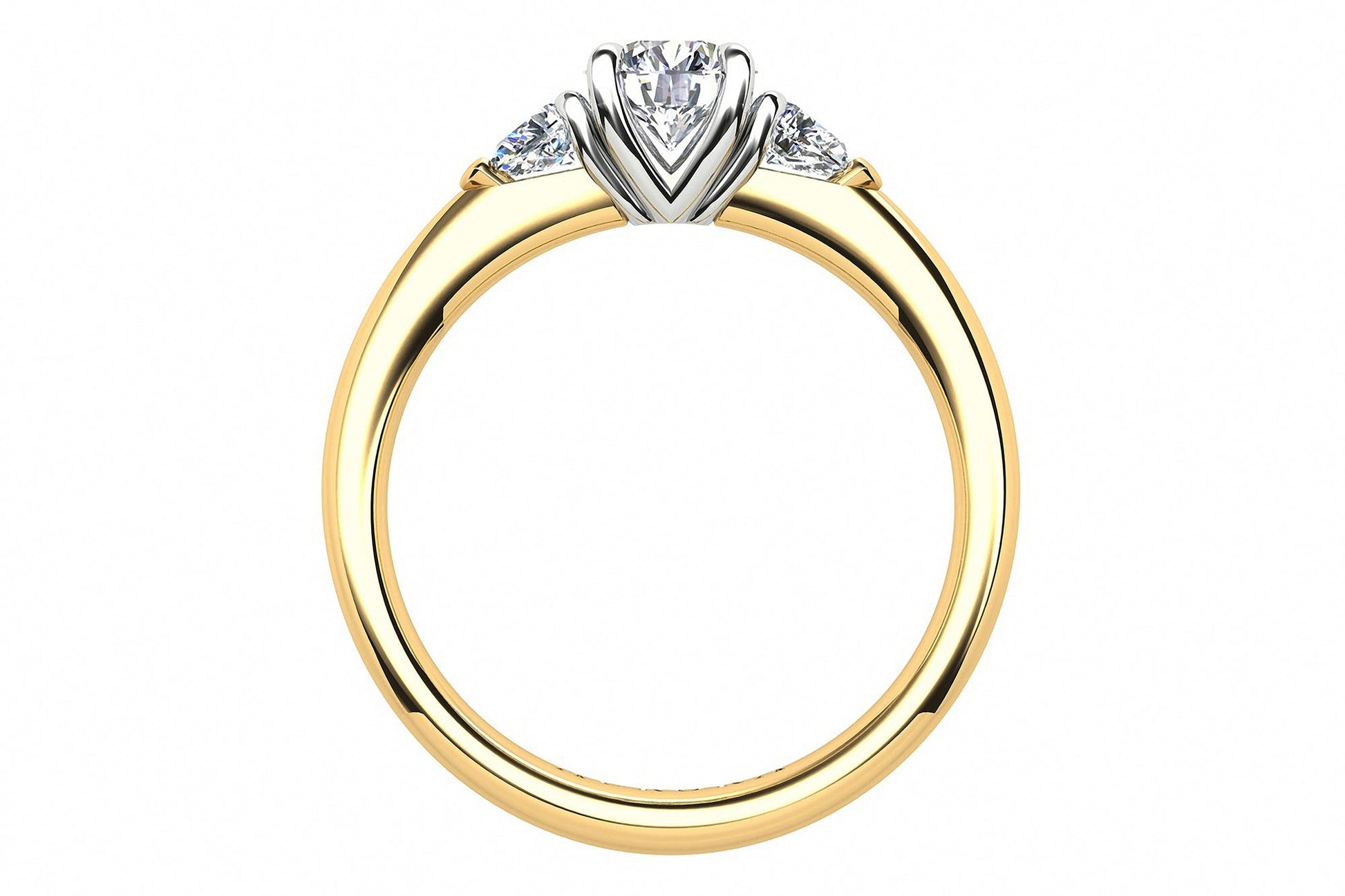 Aurora Diamond Ring  Gardiner Brothers