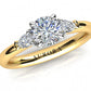 Aurora Diamond Ring  Gardiner Brothers